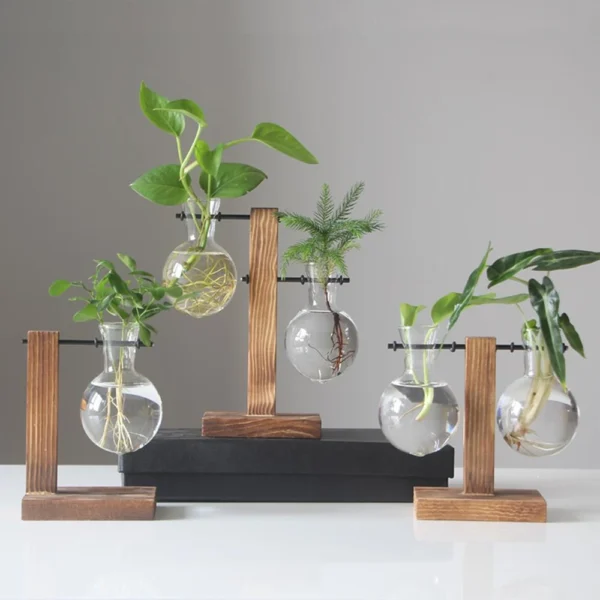 Glass Desktop Planter Bulb Vase Wooden Stand Hydroponic Plant Container Decor Living Room Office Plant Propagation Station