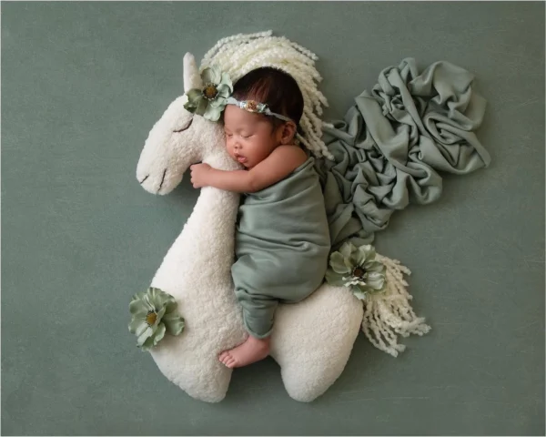 Newborn Baby Photography Props Posing Pillow Photo Prop Cushion Blanket Backdrops Photo Studio Photography Mat - Image 2