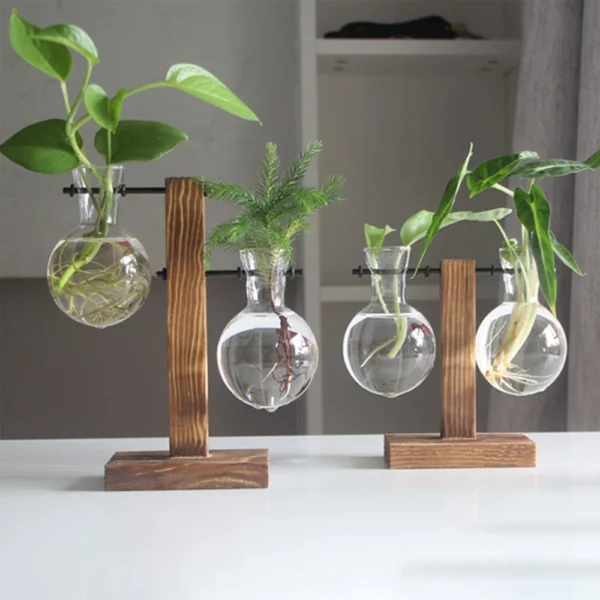 Glass Desktop Planter Bulb Vase Wooden Stand Hydroponic Plant Container Decor Living Room Office Plant Propagation Station - Image 3