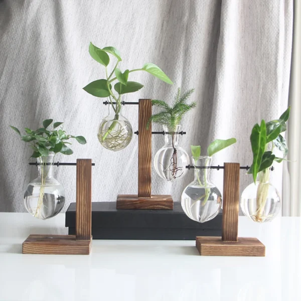 Glass Desktop Planter Bulb Vase Wooden Stand Hydroponic Plant Container Decor Living Room Office Plant Propagation Station - Image 2